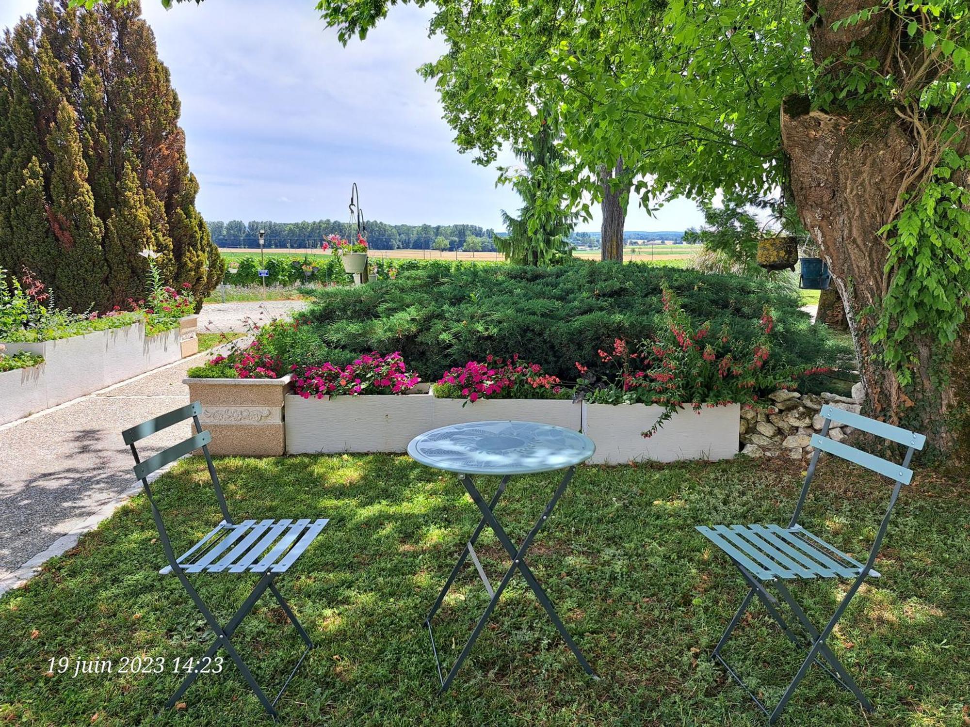 La Metairie Au Milieu Des Vignes Lägenhet Réaux Exteriör bild