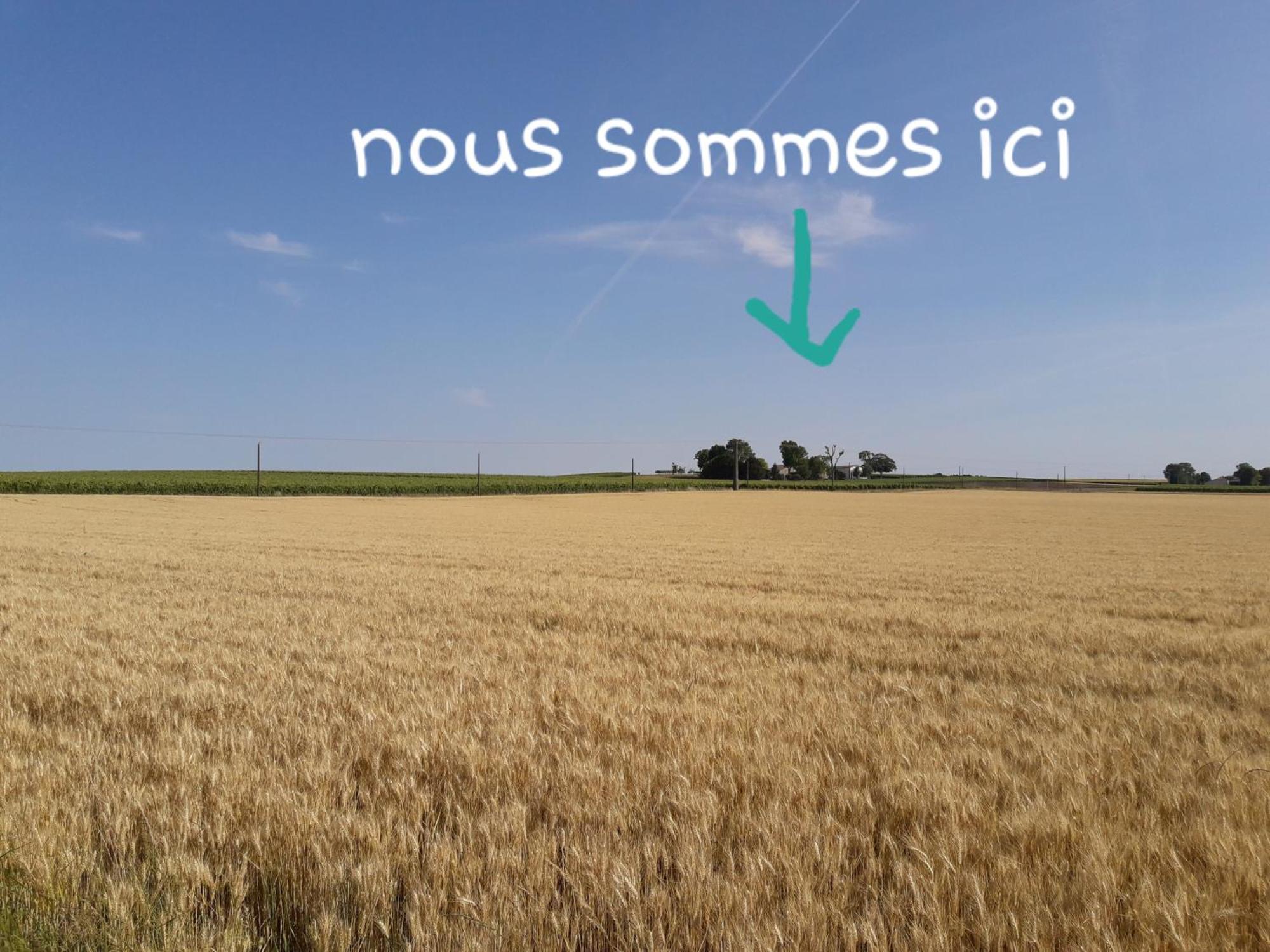 La Metairie Au Milieu Des Vignes Lägenhet Réaux Exteriör bild