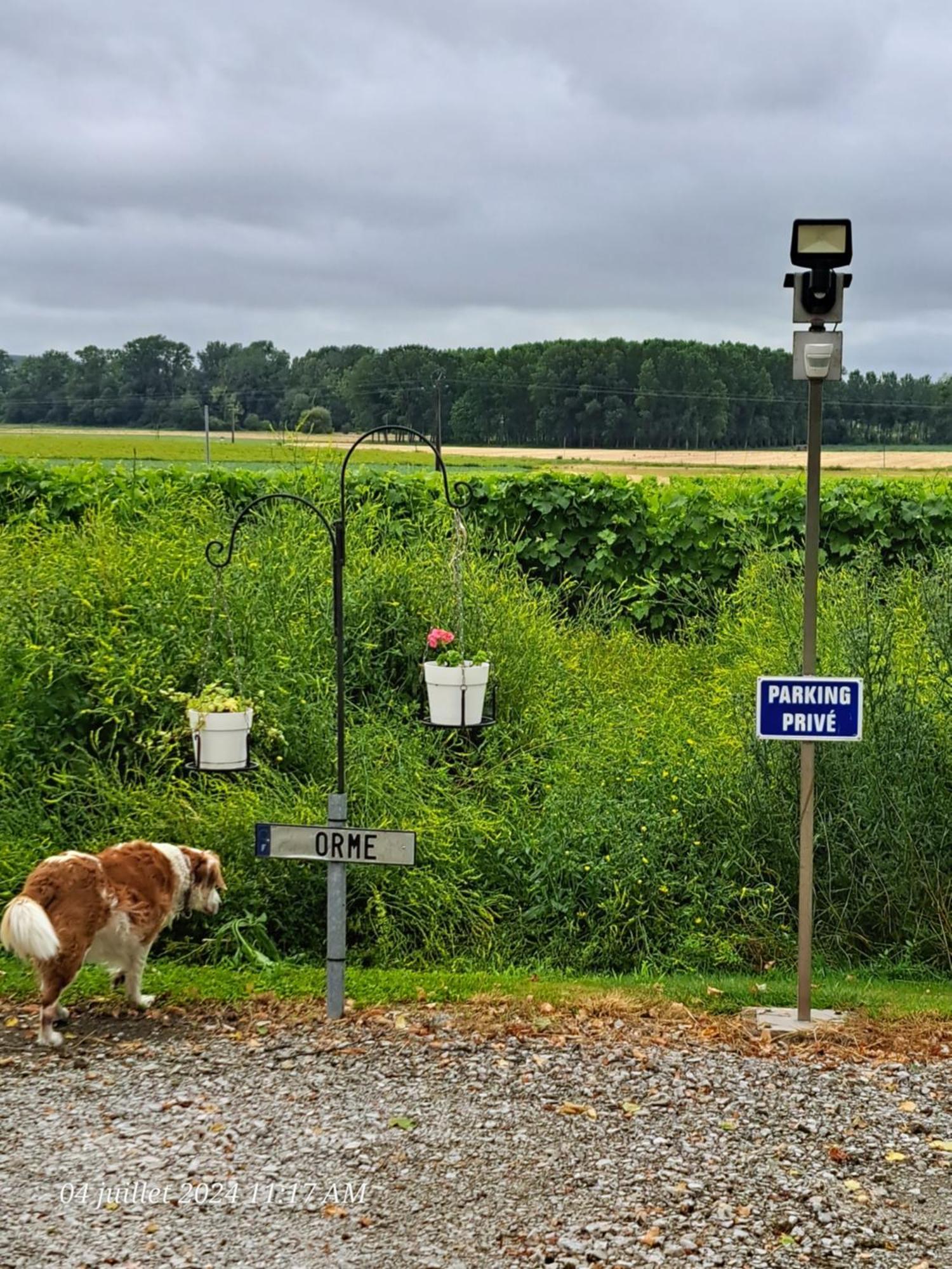 La Metairie Au Milieu Des Vignes Lägenhet Réaux Exteriör bild