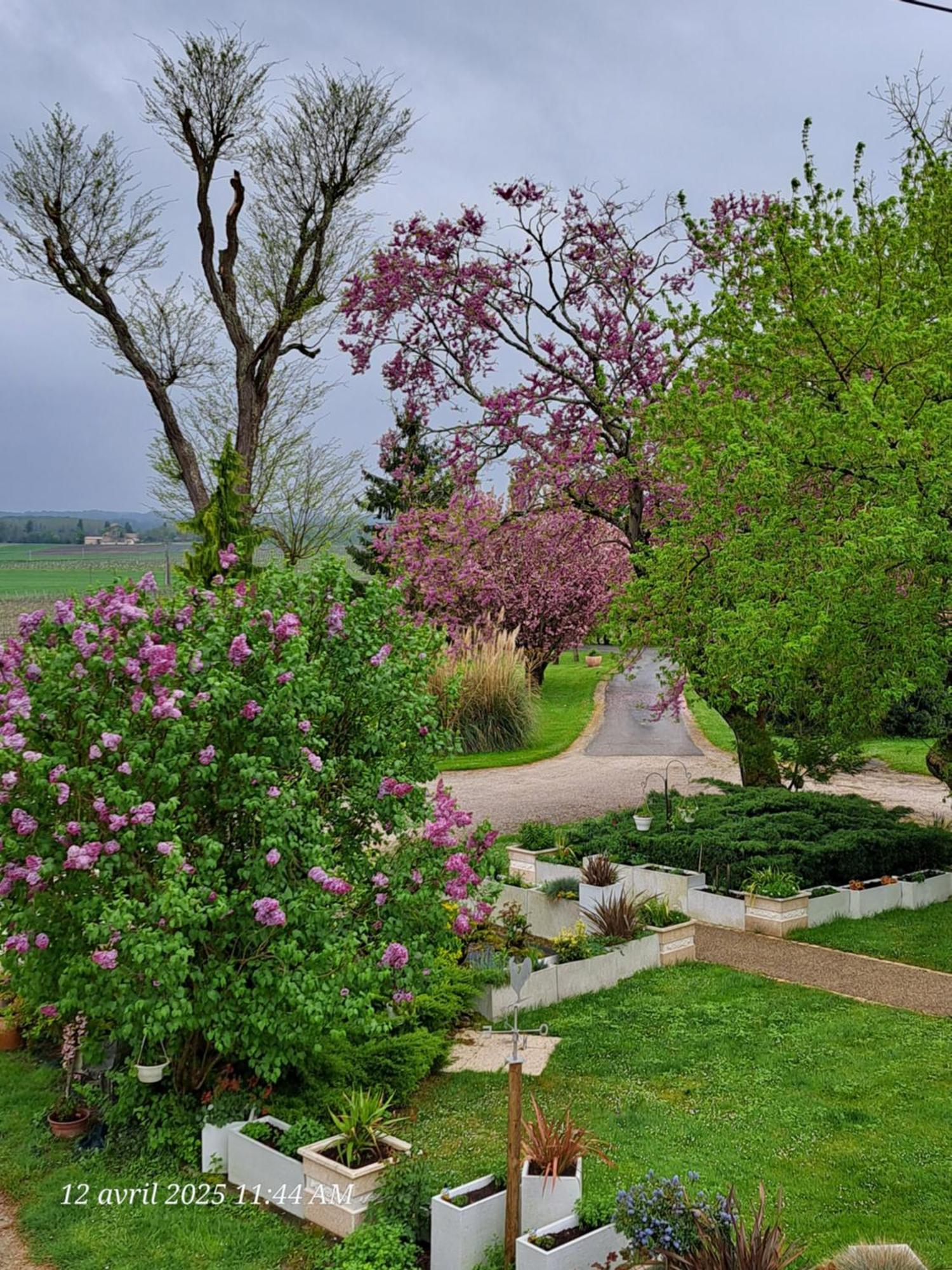 La Metairie Au Milieu Des Vignes Lägenhet Réaux Exteriör bild