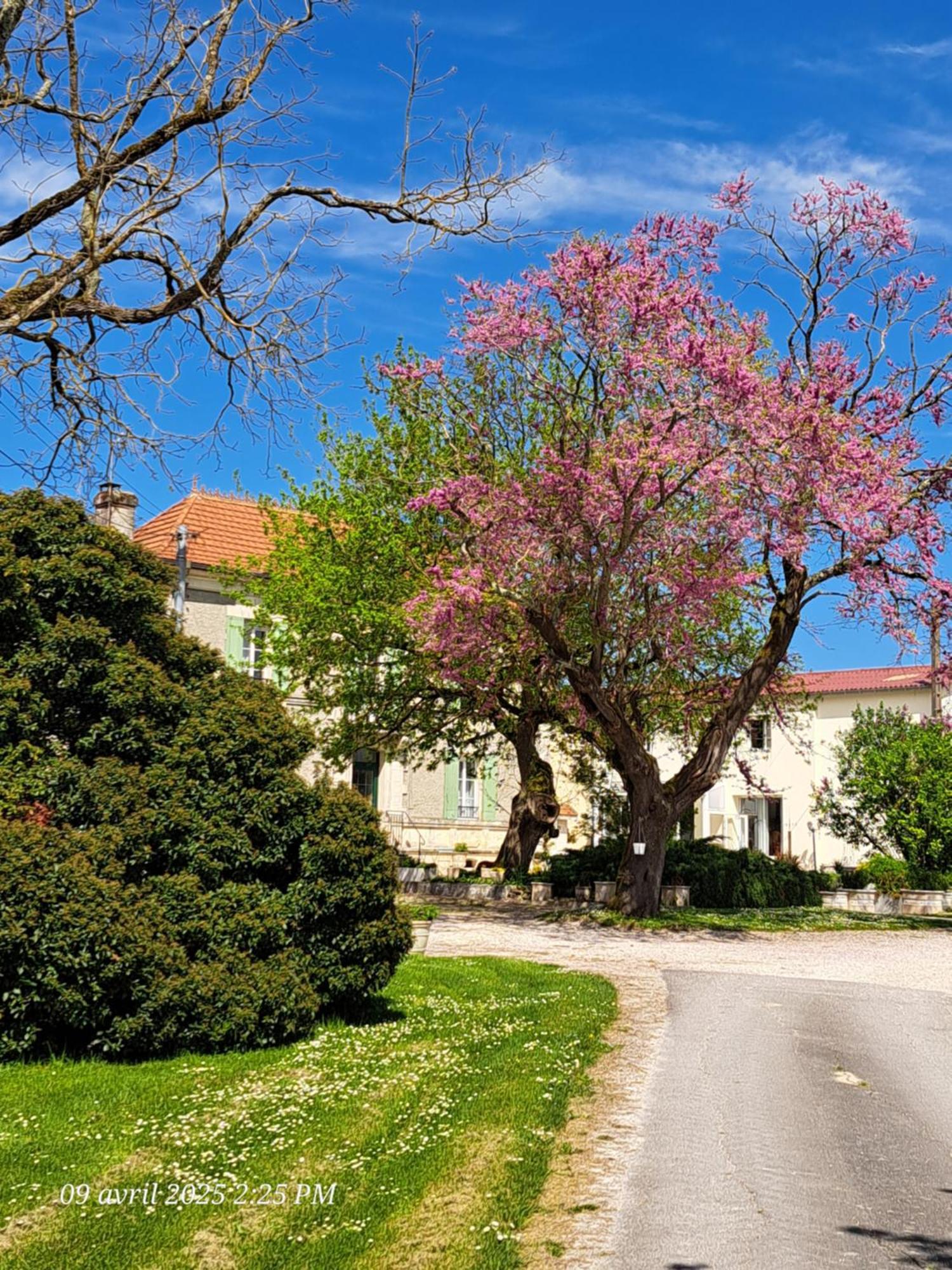 La Metairie Au Milieu Des Vignes Lägenhet Réaux Exteriör bild